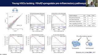 Kamil Kranc quotThe impact of RNA modifications on normal and malignant haematopoiesis” [upl. by Goldsworthy]