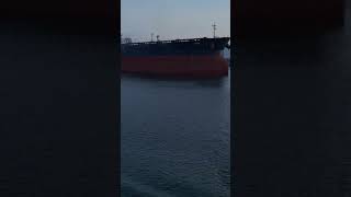 Euronav Tanker viral viralvideo trending trendingshorts shortvideo shorts short shortsvideo [upl. by Essilem]