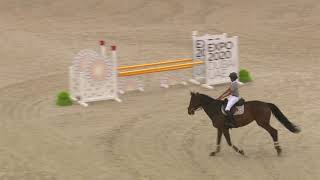 Young Horse Finals Al Forsan International Sports Resort1 [upl. by Oznecniv]