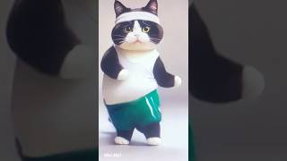 Funny Cat Viral Dancing Videos😻💃🏻Cat dance Video  silly Cat  catdancecatloversfunnycats8613 [upl. by Jodie480]