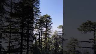 Mountain view Kashmir viral shorts instagram splore psplorepage [upl. by Ennaoj]