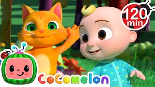 The Animal Dance Song  CoComelon  Animals for Kids  Sing Along  Learn about Animals [upl. by Baal83]