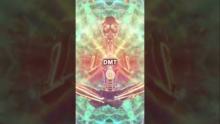 DMT will change your consciousness after death 🤯 [upl. by Armillas]