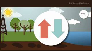 Climate Challenge questce que le cycle du carbone [upl. by Dier133]