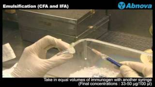 Emulsification CFA and IFA [upl. by Nairod]