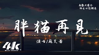 蘇芙蕾  胖貓再見『風替我說了再見 再見再也不見，怎樣的我 能讓你感到思念。』【高音質動態歌詞Lyrics】♫  風替我說了再見 [upl. by Avlem]