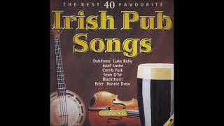 The Best 40 Favourite Irish Pub Drinking Songs  Various Artists  Over 2 Hours [upl. by Iroj547]