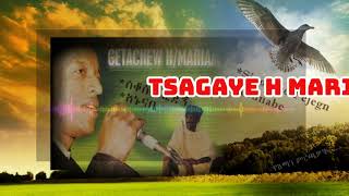 Getachew Hailemariam Odaa nabee deemna old Oromo Music [upl. by Julieta]