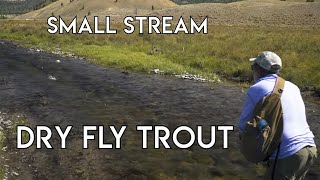 Small Stream Dry Fly Nirvana  Dubois Wyoming [upl. by Oigimer]