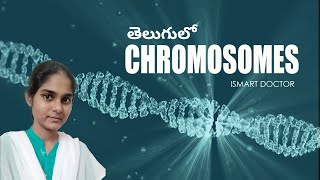 Chromosomes in Telugu  Gene and Allele in Telugu  Cell Biology [upl. by Haiel447]