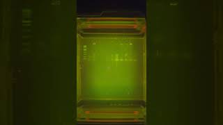 miniPCR PTC Taster Lab Gel Electrophoresis [upl. by Noivaz]