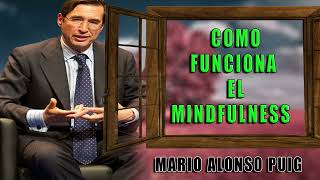 COMO FUNCIONA EL MINDFULNESS MARIO ALONSO PUIG SUPERACION PERSONAL [upl. by Akinajnat]