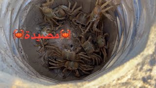 كيفية عمل مصيدة كابوريا 🦀 fishing hunter سمك كابوريا سلطعون عكريش crab crabsمصر السعودية [upl. by Utir683]