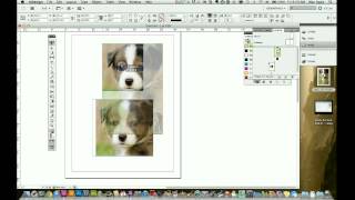 Indesign CS5 Tutorial  How to Use the Frame tool [upl. by Assenay861]