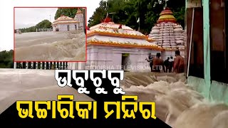 Watch Flood water enters Maa Bhattarika Temple in Cuttack [upl. by Ellehsim790]