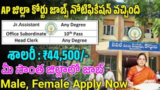 జిల్లా కోర్టుఉద్యోగాలు విడుదల  AP District Cout Jobs 2024  Latest Jobs In Telugu  Court Jobs 2024 [upl. by Alenas727]