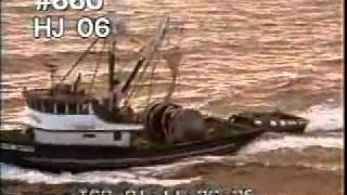 Commercial Fishing 1  Fishing Boats  Fish  Best Shot Footage  Stock Footage [upl. by Akcirre861]