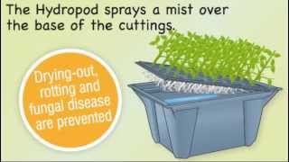 Hydropod Propagator  Grow More of Your Favourite Plants From Cuttings [upl. by Matazzoni]