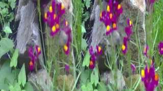 3D test video Best 3D sample video Digital 3D test video [upl. by Eytteb]