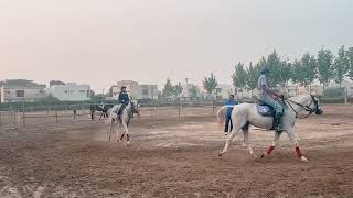 Riding practice ki ye technique good hy agy agy trainer or pechy Zainab 🐎🐎🐎🐎 [upl. by Amatruda]