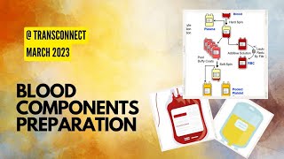 Blood component preparation 10 [upl. by Obrien]