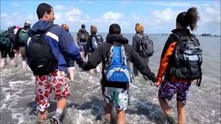 Wadlopen Holwerd Ameland [upl. by Lewin925]