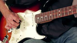 Product Spotlight  Fender USA Professional Standard Stratocaster HSS [upl. by Anid764]