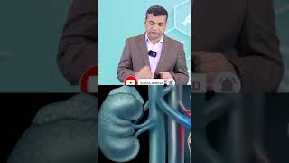 क्या क्रिएटिनिन का बढ़ना किडनी फेलियर का संकेत है What is bad creatinine level  creatinine VS CKD [upl. by Aneerol]