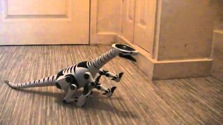 WowWee Roboreptile Demonstration [upl. by Genovera687]