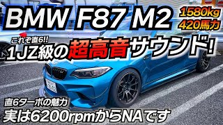 M2購入を迷われてる方へ！絶対後悔しない車！直6サウンドは間違い無く買うべし！BMW F87 M2 [upl. by Lacym]