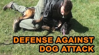 How to defend against a dog Self defense against dog attack [upl. by Enelehcim819]