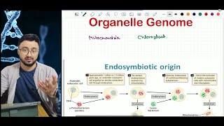 Organelle genome Origin story of Mitochondria and Chloroplast ARS Agri Biotech  CSIR ICARJRF [upl. by Bat]