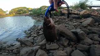 Aplins Weir Townsville Fishing [upl. by Lonnie329]