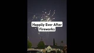 The Happily Ever After Fireworks nightime [upl. by Sosthena686]