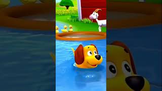 Bingo the dog song  nursery rhymes amp kids songs nurseryrhymes kidssongs bingo shorts [upl. by Sul]