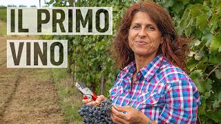 VENDEMMIA 2024 tutti gli USI dellUVA🍇 [upl. by Melentha]