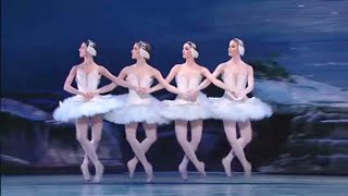 Swan Lake  Tchaikovsky [upl. by Ahtelra494]