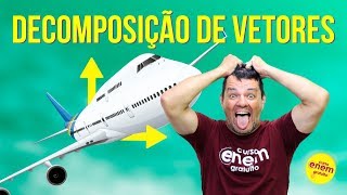 DECOMPOSIÇÃO DE VETORES  Resumo de Física para o Enem [upl. by Yelsnik914]