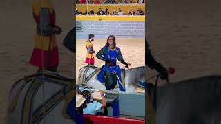 Medieval Times Dinner and Tournament Orlando [upl. by Lladnik]