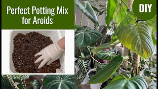 How To Make Perfect Aroid Potting Mix SOIL FREE for Healthy and Thriving Aroids [upl. by Letitia81]