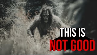 Shocking New Trail Camera Footage and Scary Encounters [upl. by Aisayt449]