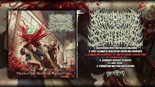 NECROPHILIC BEATDOWN  Probation Meeting Mutilation  FULL STREAM  BRUTAL MIND [upl. by Thornburg931]