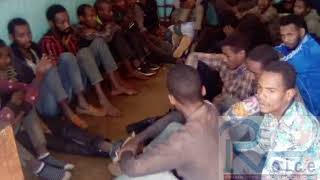 98 Ethiopian immigrants arrested at Jenda in Mzimba Malawi [upl. by Conover]