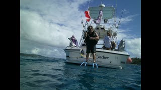 St Thomas scuba diving with JJ Divers  Full dive Part 1 [upl. by Nye]