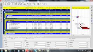 13 Reports Cash flow and Manpower histogram from primavera 6 P6mp4 [upl. by Marc281]