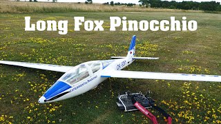 Long Fox Pinocchio Reichard Modelsport  35m scale RC glider  4K  Rokytnice 2023 [upl. by Oiril]