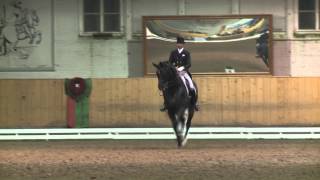 Gilles Ngovan mit Dream of Night Fluswiss CH in Slowmotion GP NPZ 2013 [upl. by Ahsatsan734]