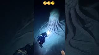 अरे आप रे इतना बड़ा🙄😲 scubadiving diving ocean underwater scuba oceanexploration seacreatures [upl. by Rilda232]