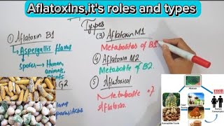 AflatoxinsMycotoxinsFull explaination in Hindi biochemistry [upl. by Paula]