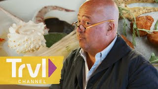 Going Daringly Dutch in Amsterdam  Bizarre Foods with Andrew Zimmern  Travel Channel [upl. by Nekal178]